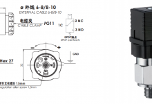 活塞压力开关 - SPDT 触点-EUROSWITCH销售中心