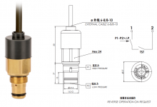 I带温控的电压差指示器-EUROSWITCH销售中心