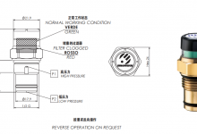 目视压差指示器 HEX 24-EUROSWITCH销售中心