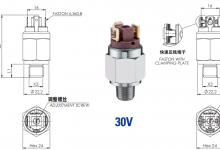 30-30V活塞压力开关≤ 250V-EUROSWITCH销售中心